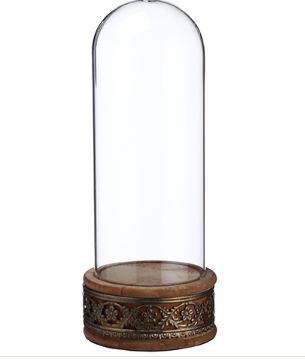 Glass Dome on Wooden Base