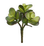 Jade Succulent Pick - 6.5