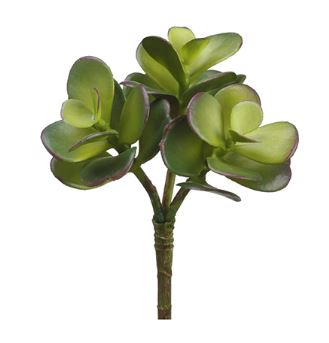 Jade Succulent Pick - 6.5"
