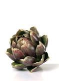 Artichoke