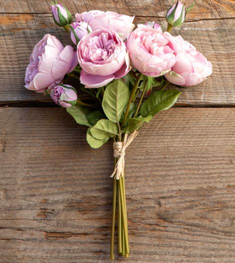 Antique Garden Rose Bundle - Maroon Blush
