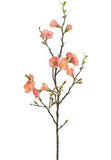 Quince Blossom Spray - 35