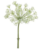 Dill Spray - 17