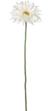Gerbera Daisy Stem - 23