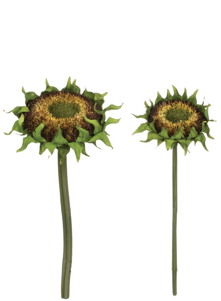 Sunflower Stem - Bronze 28.5"