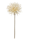 Dahlia Stem - 9.5