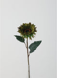 Sunflower Stem - 27