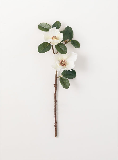 White Magnolia Branch - 19"