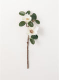 White Magnolia Branch - 19