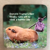 Sassy Coasters by Jim Spinx