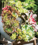 Metal Circular Planters