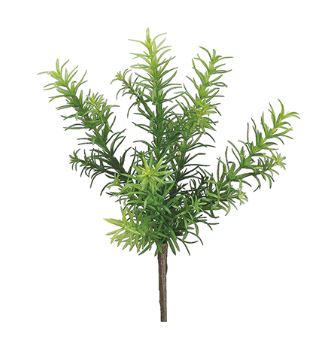 Rosemary Bush - 11"