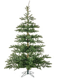 Danish Royal Fir Tree