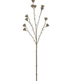 Glittered Eucalyptus Pod Spray