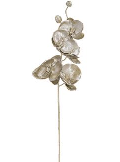 Silver Metallic Phalaenopsis Orchid Stem - 32"