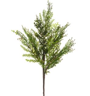 Cedar & Juniper Spray